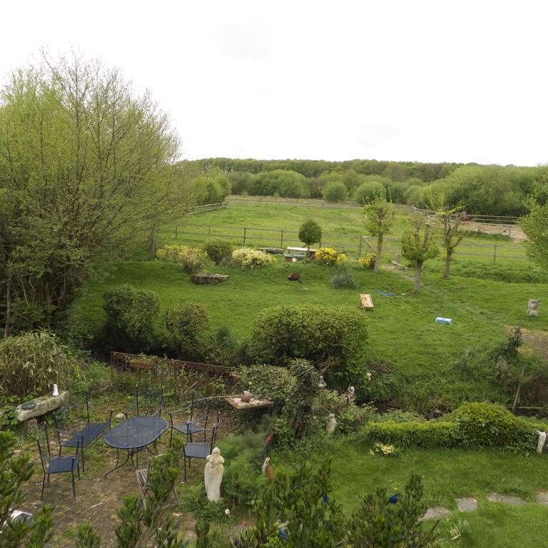 Bed and Breakfast La Cage Aux Oiseaux La Lande-de-Goult Exteriér fotografie